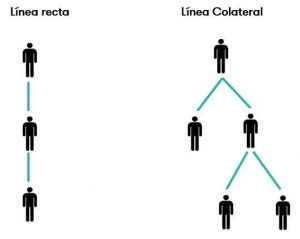  parentesco línea recta y línea colateral
