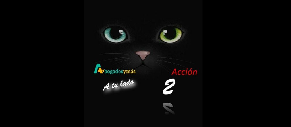 acción 2 definir valores de la empresa