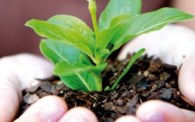 Ayudas para crear una empresa